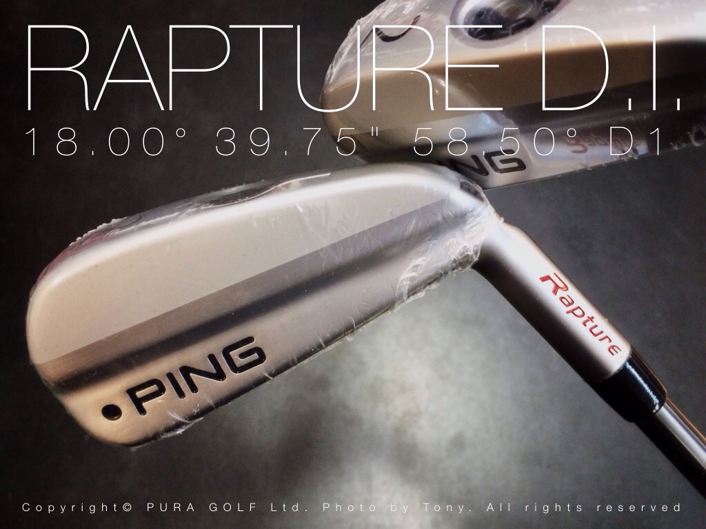 PING Rapture D.I. Limited